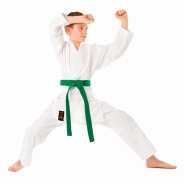 karategi shoshin tokaido