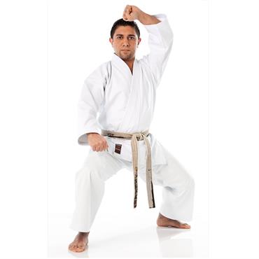 karategi ultimate tokaido