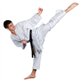 karategi new dynamic kaiten
